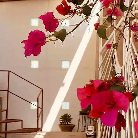 Apartamento Casita Cerca De T1 Y T2 Del Aeropuerto Y Foro Sol